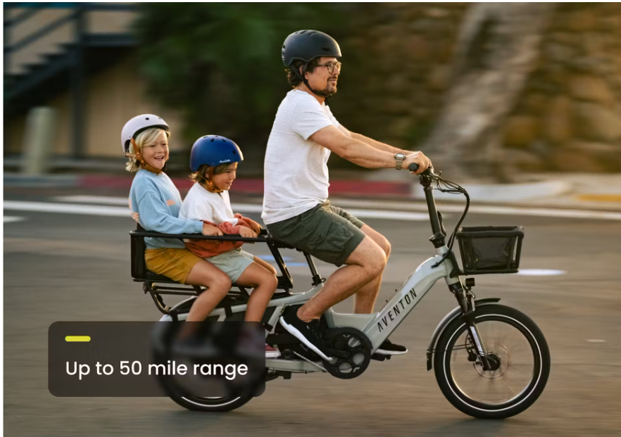 Cades Cove/Townsend Cargo Ebike 24 Hour Rental