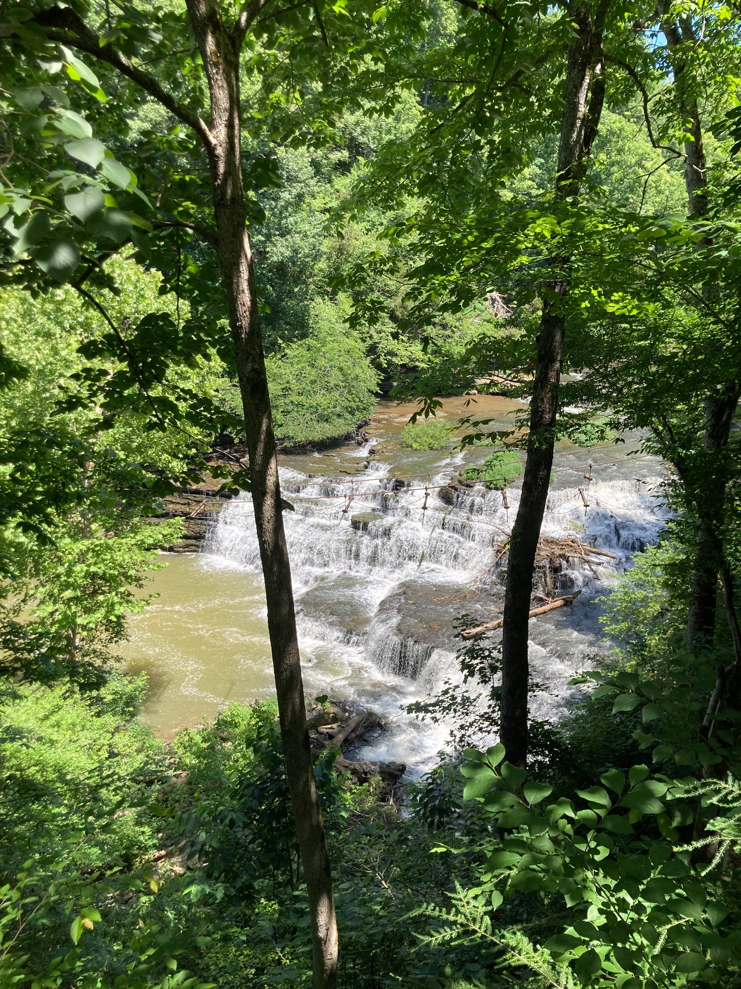 Ebike Tour to Burgess Falls (25 Miles Round Trip)